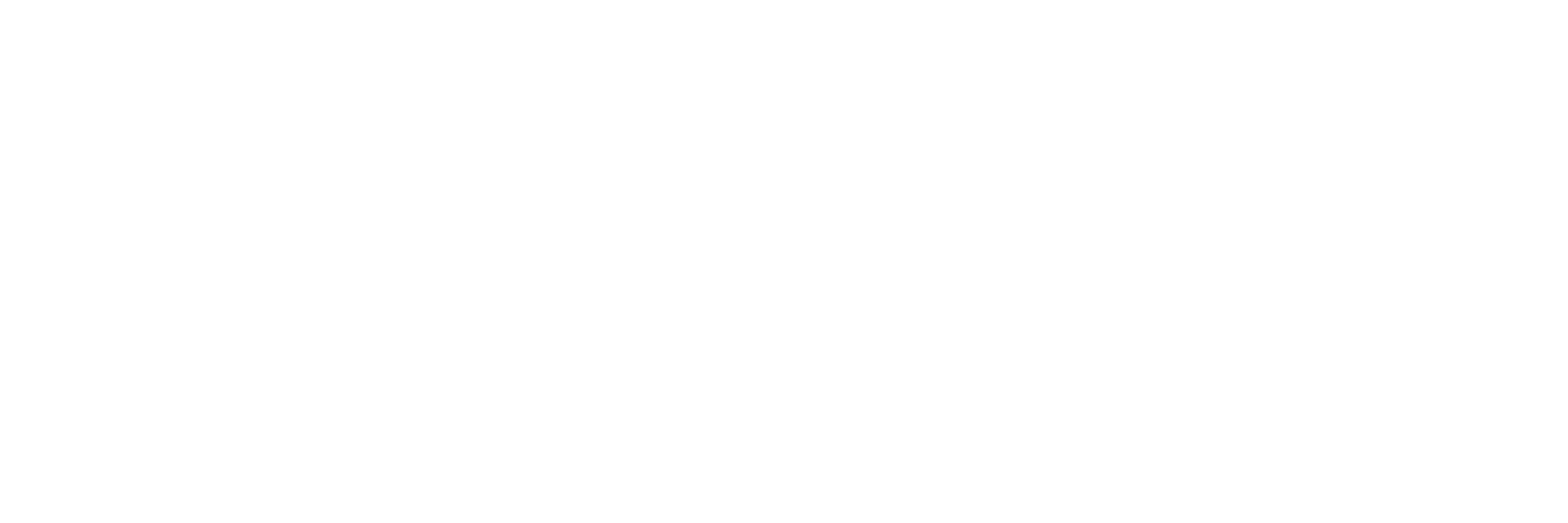 Aria Travel Kit